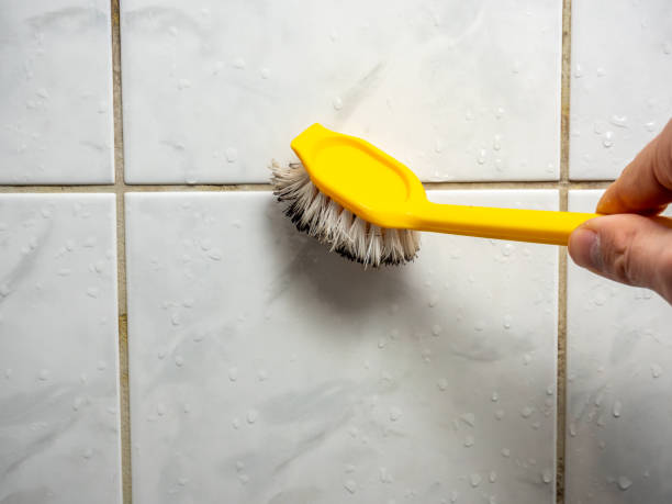 Mold Removal Process in Lawrenceburg, KY