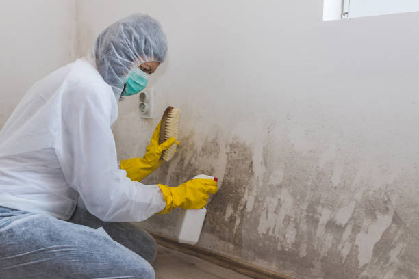 Crawl Space Mold Removal in Lawrenceburg, KY