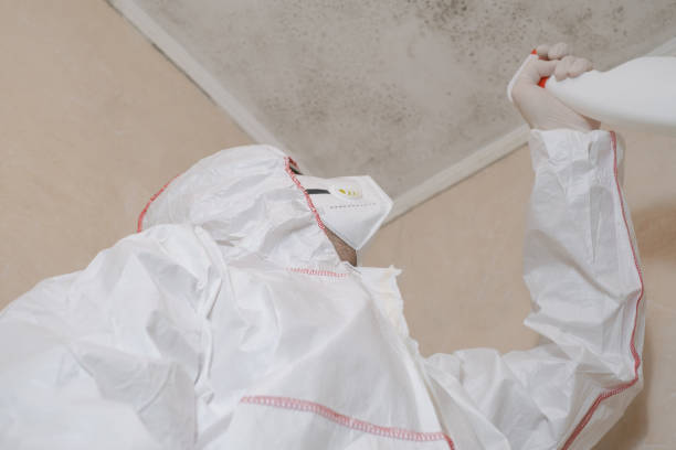 Best Office Mold Removal Services  in Lawrenceburg, KY